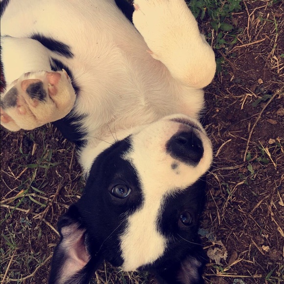 We Finally Did It! - Picture 4 of 8